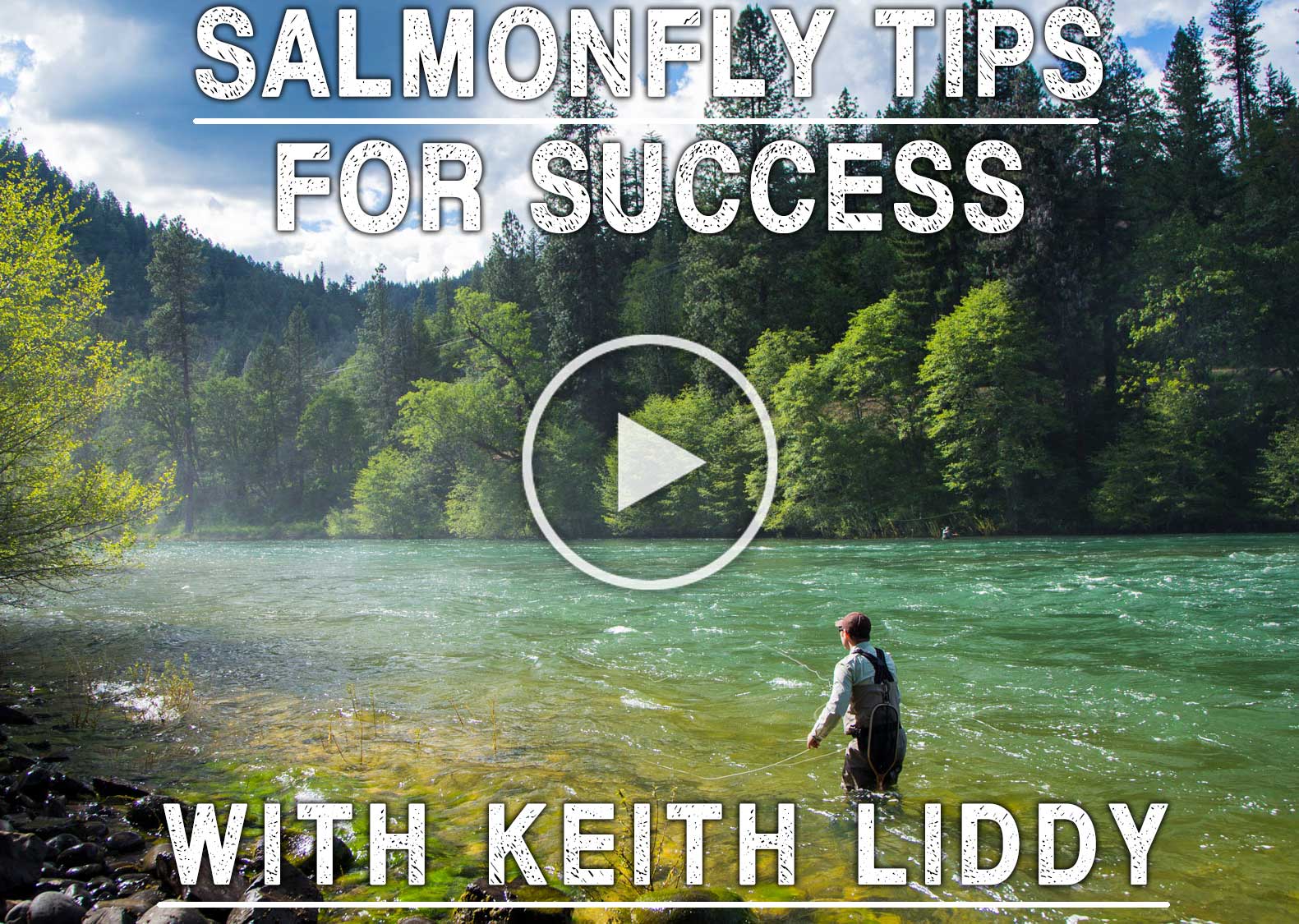 Salmonfly Tips for Success