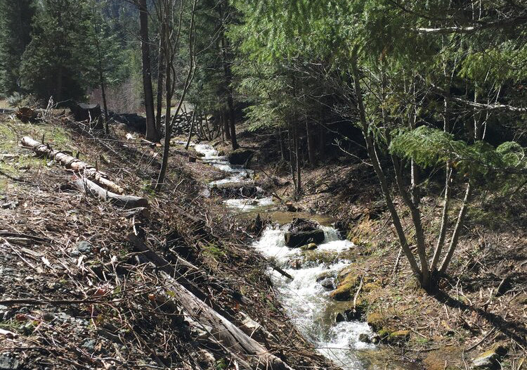 Improving Protections for Small Streams