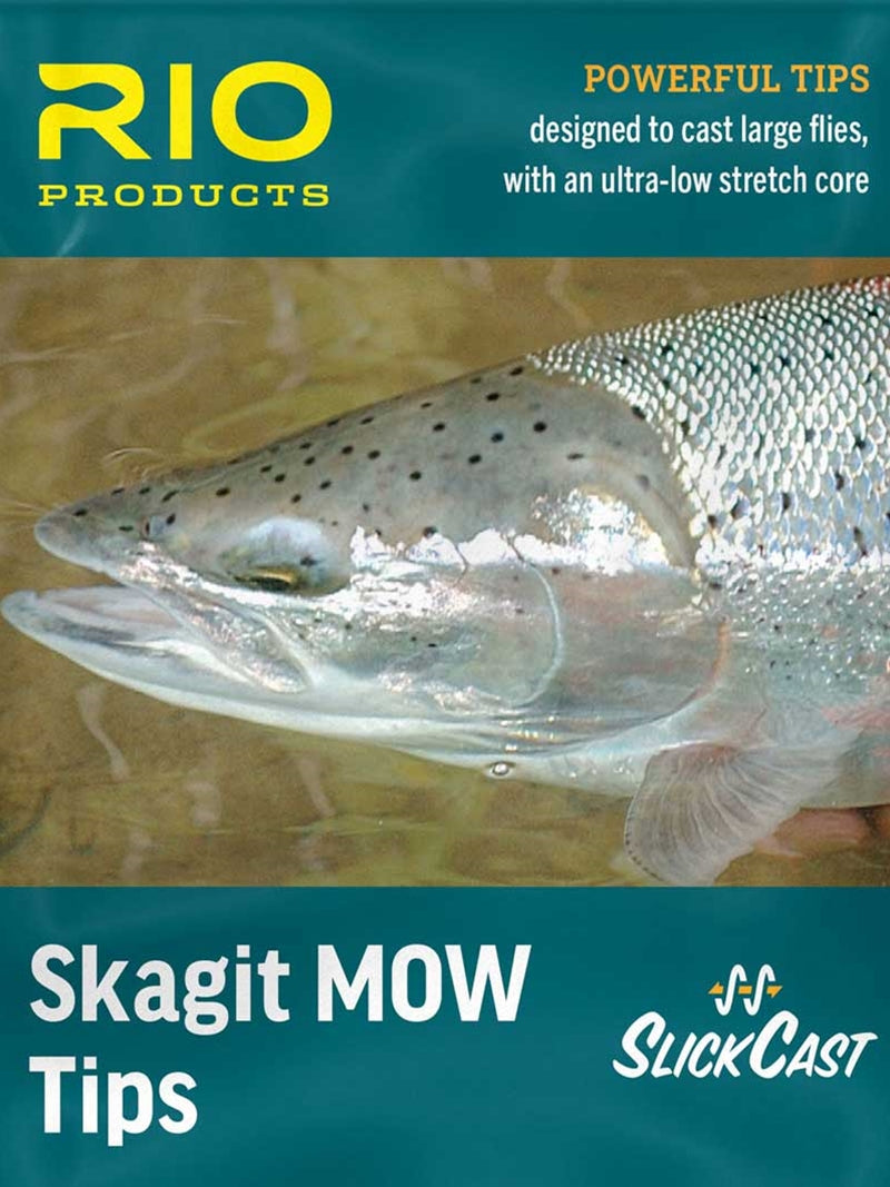Trout Spey Sink Tips