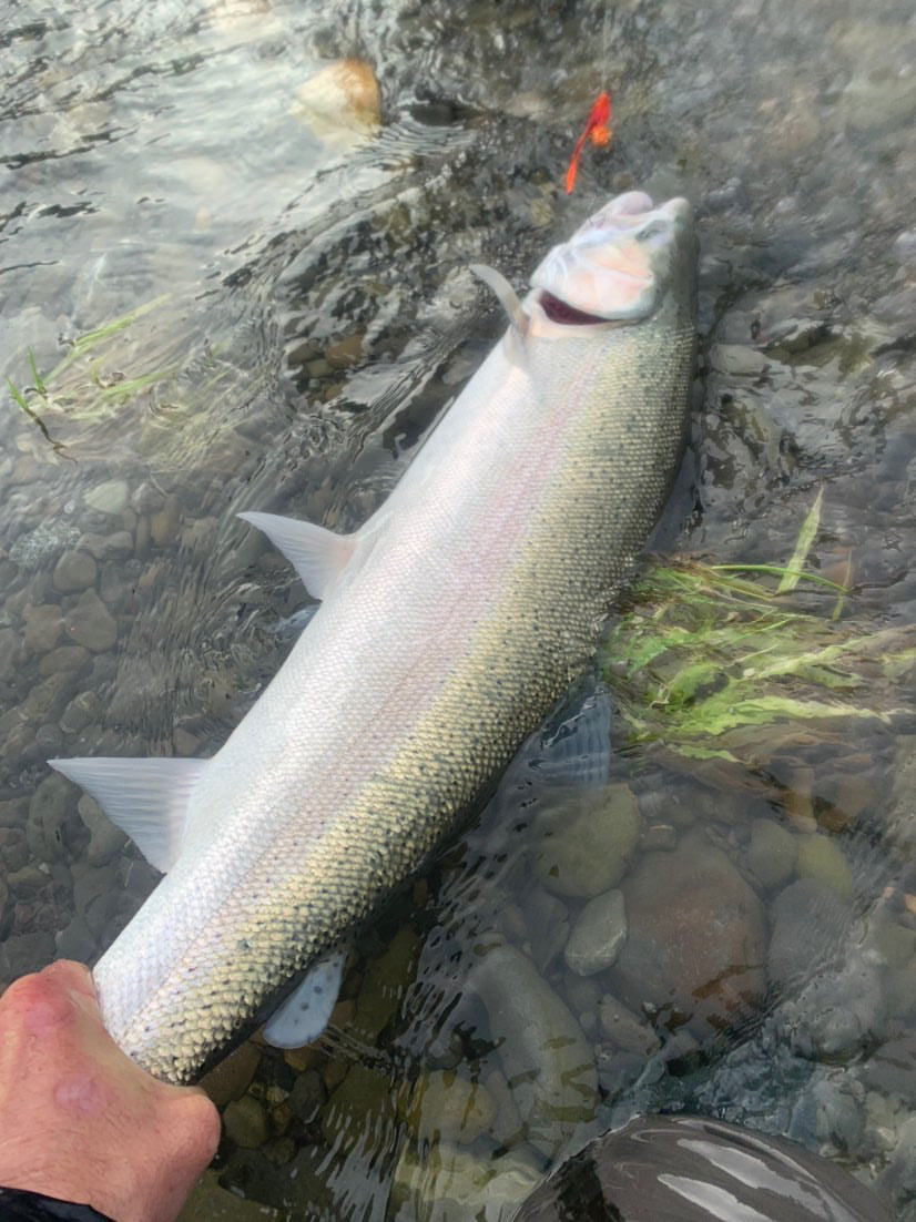Fishing Report January 16th, 2020