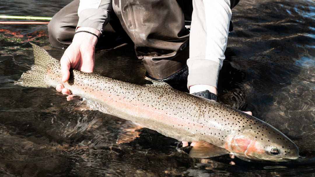 Fishing Report August 13th, 2020