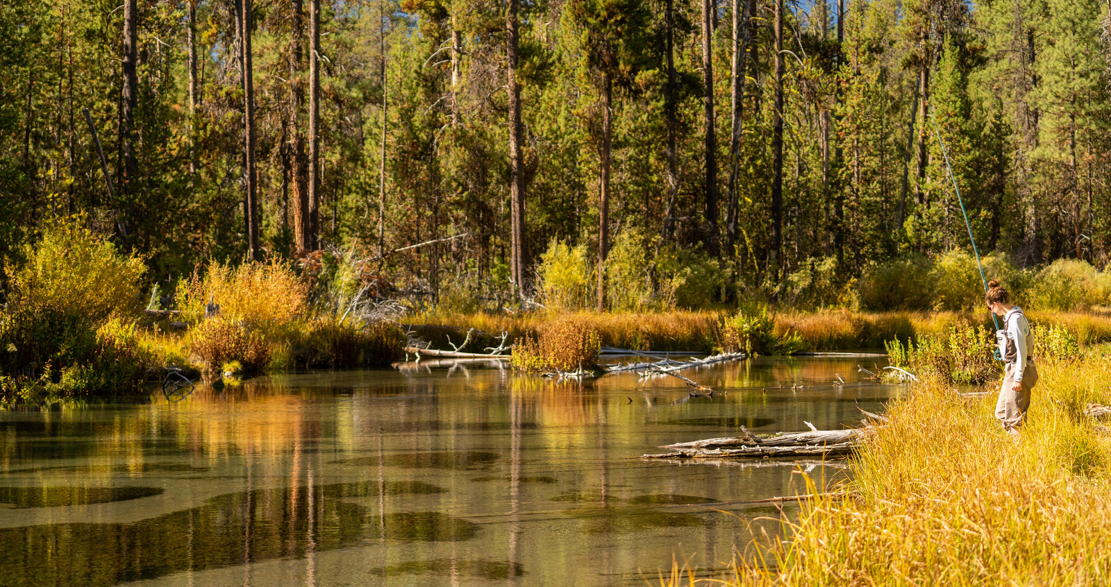 Central Oregon Field Notes