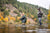 Morrison's Lodge Hosted Trip Recap