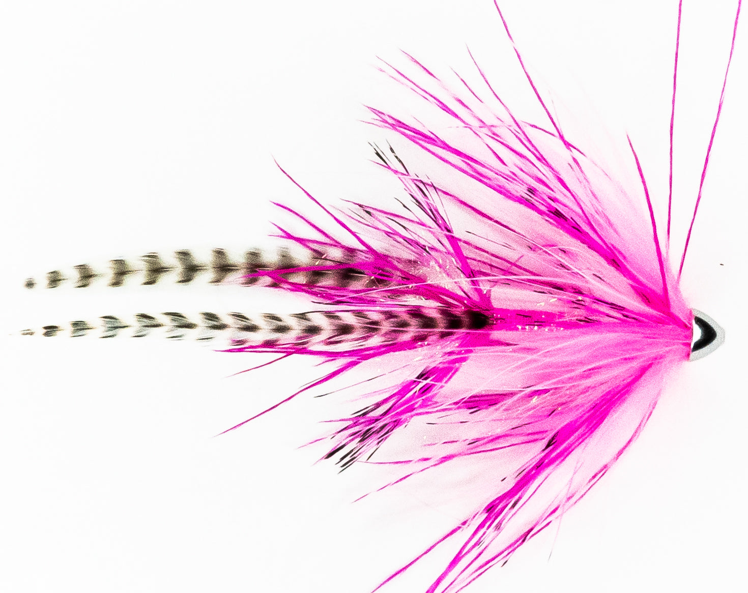 Sean's 2 Station Coastal Intruder | At The Vise