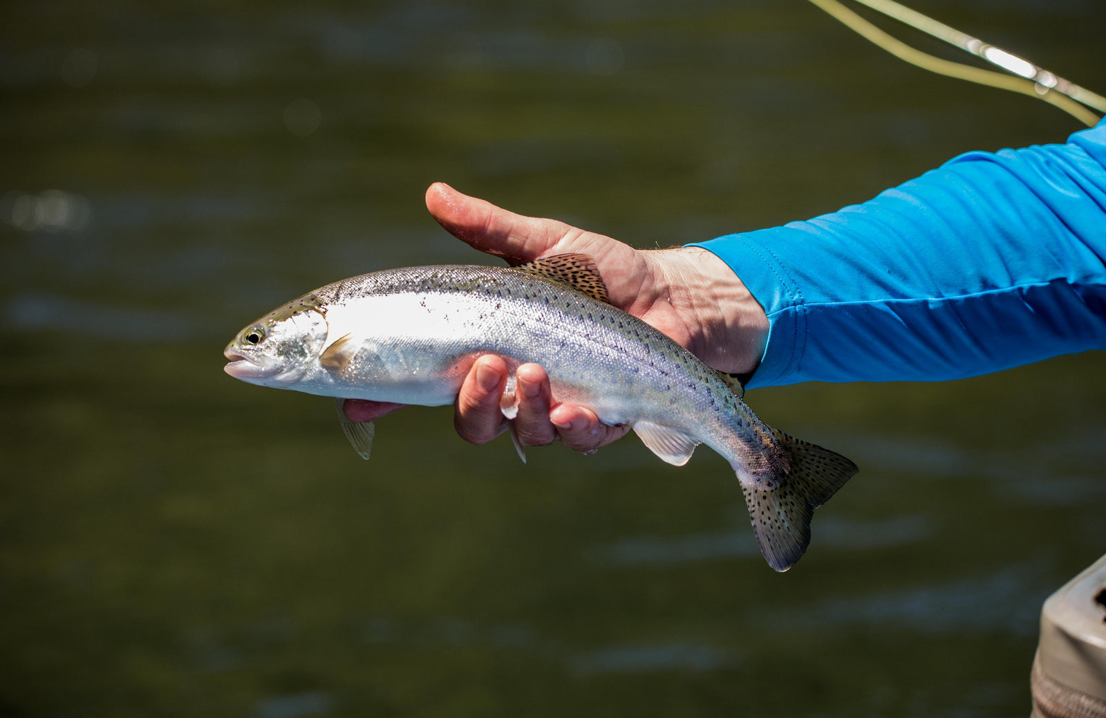 Fishing Report Oct. 6th, 2017