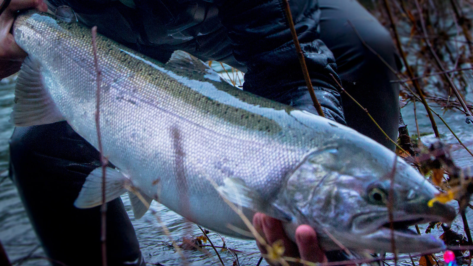 Fly Fishing Report for December 21 2016