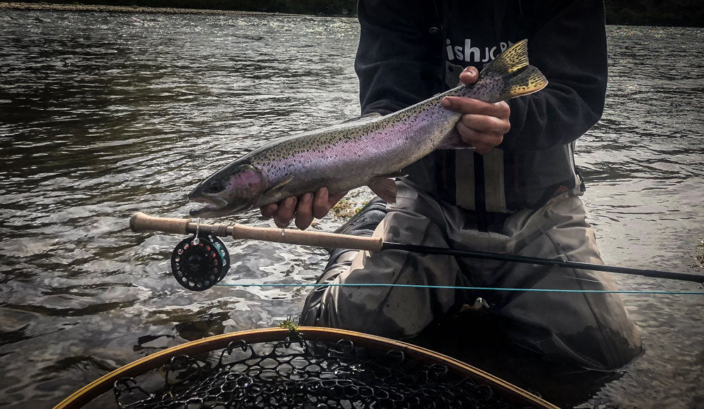 Fishing Report October 11th, 2018