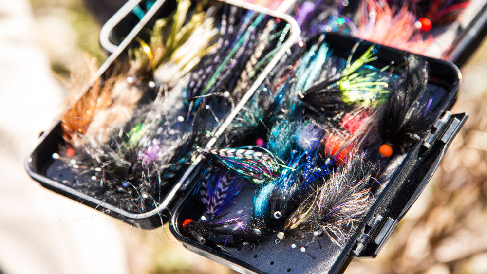 Fishing Report for March 2nd 2017