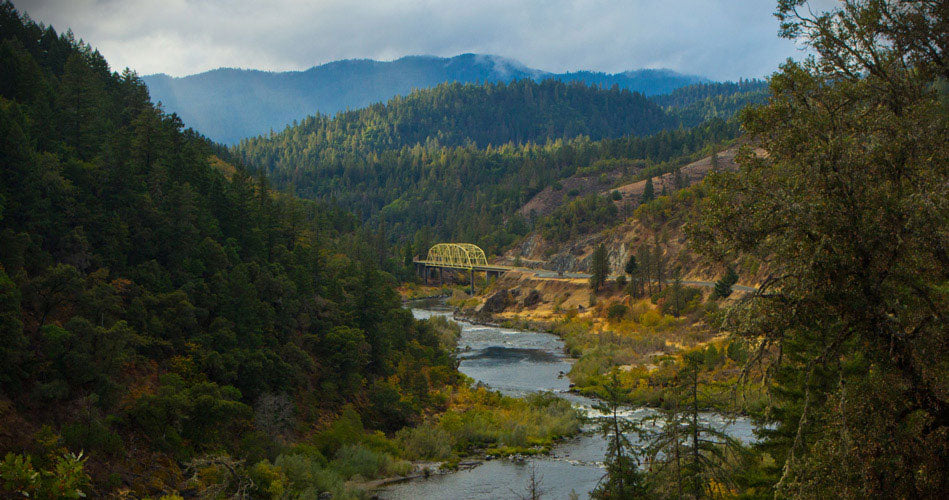 Rogue River Summer Steelhead Preview