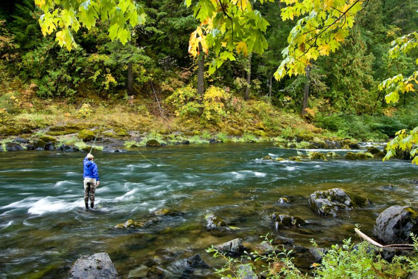 Umpqua Summer Basecamp