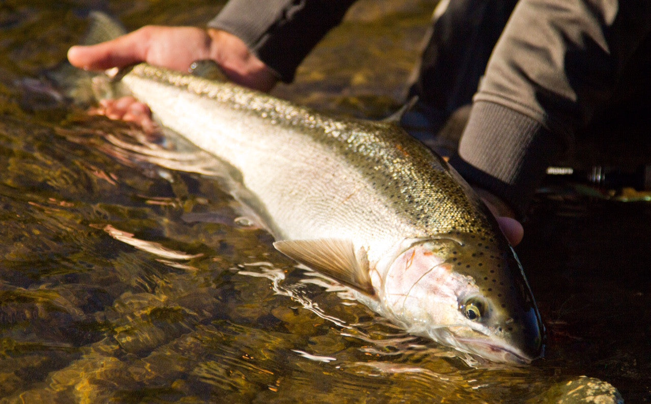 Ashland Fly Shop Fishing Report July 27th 2016