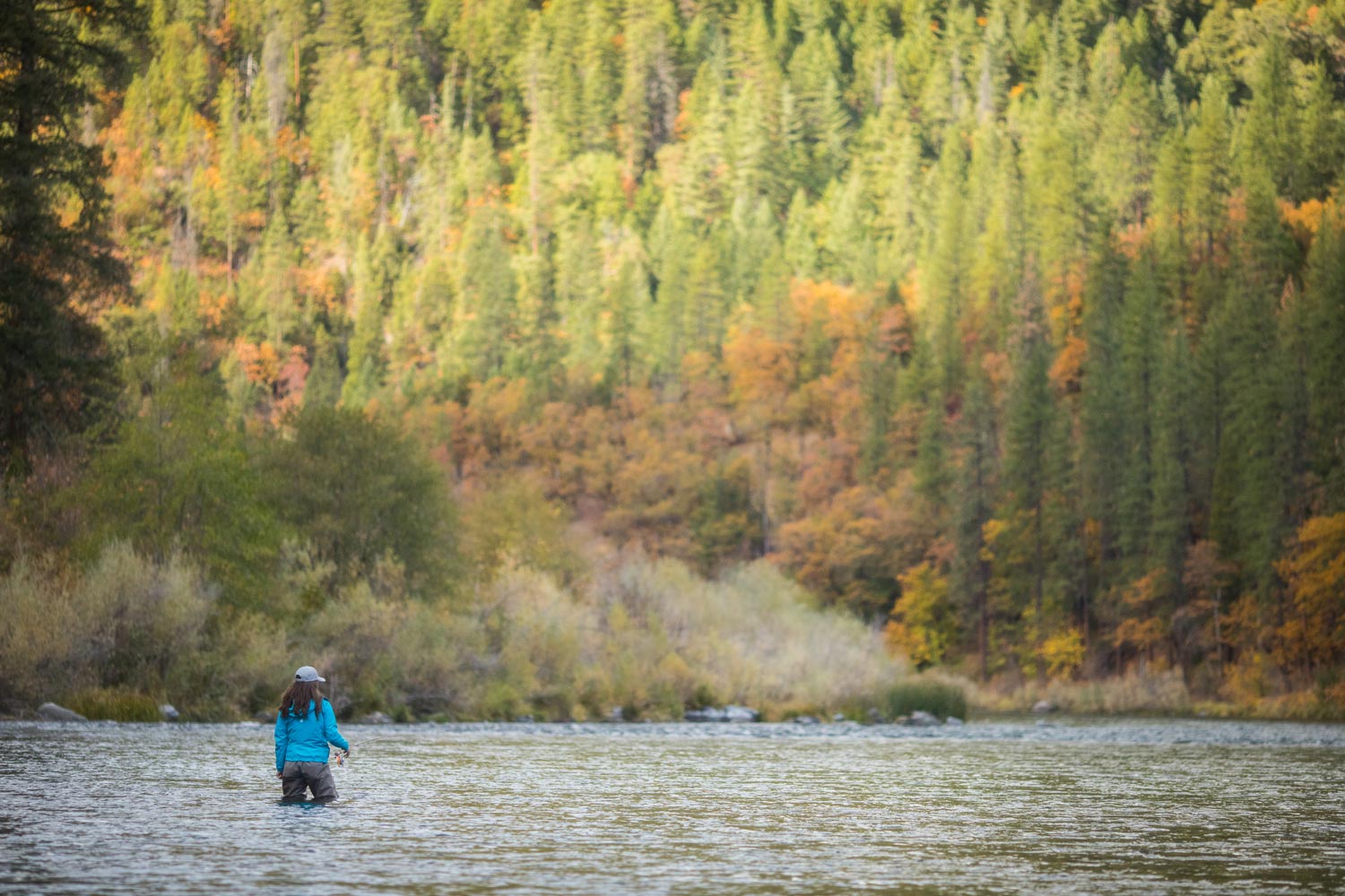 Rogue and Klamath River Field Notes for Early November
