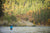 Rogue and Klamath River Field Notes for Early November