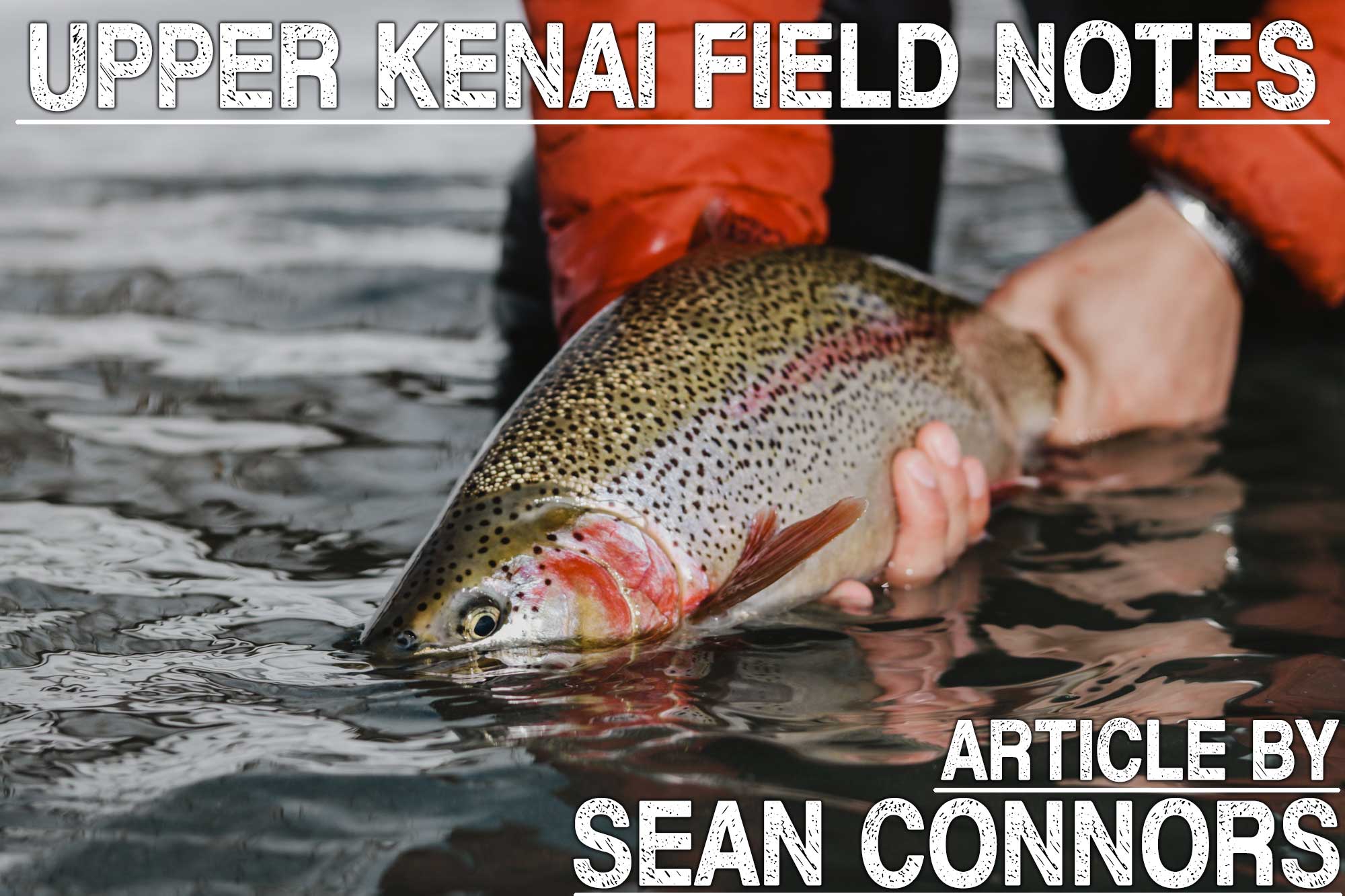 Winter Fly Fishing on the Kenai Penisula