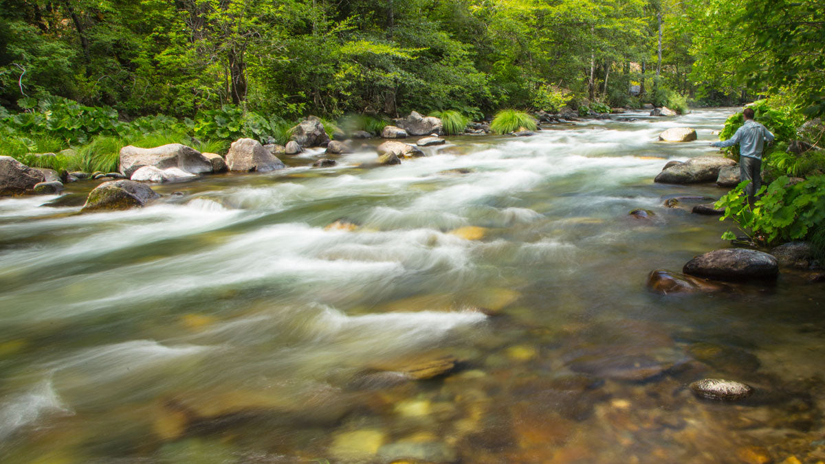 Upper Sac Field Notes | Reading Water