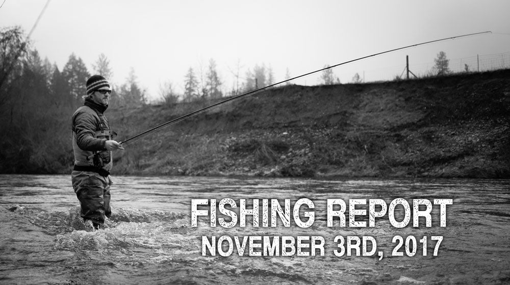 Fishing Report November 3rd, 2017