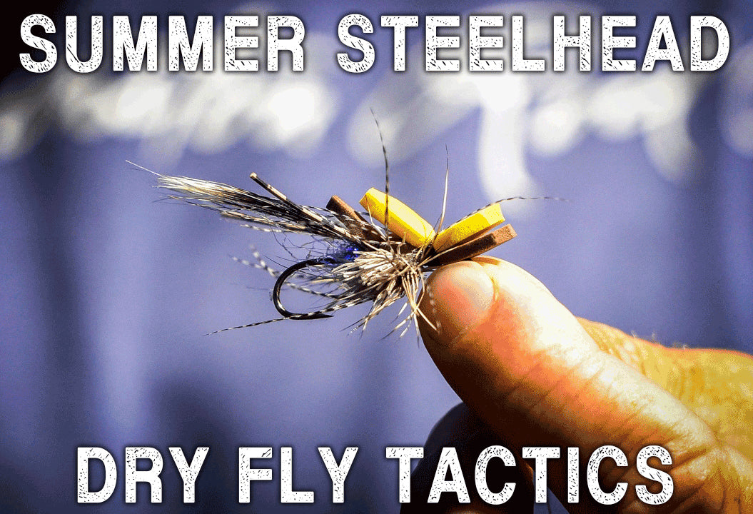 Dry Fly Tactics for Steelhead W/ Stuart Warren