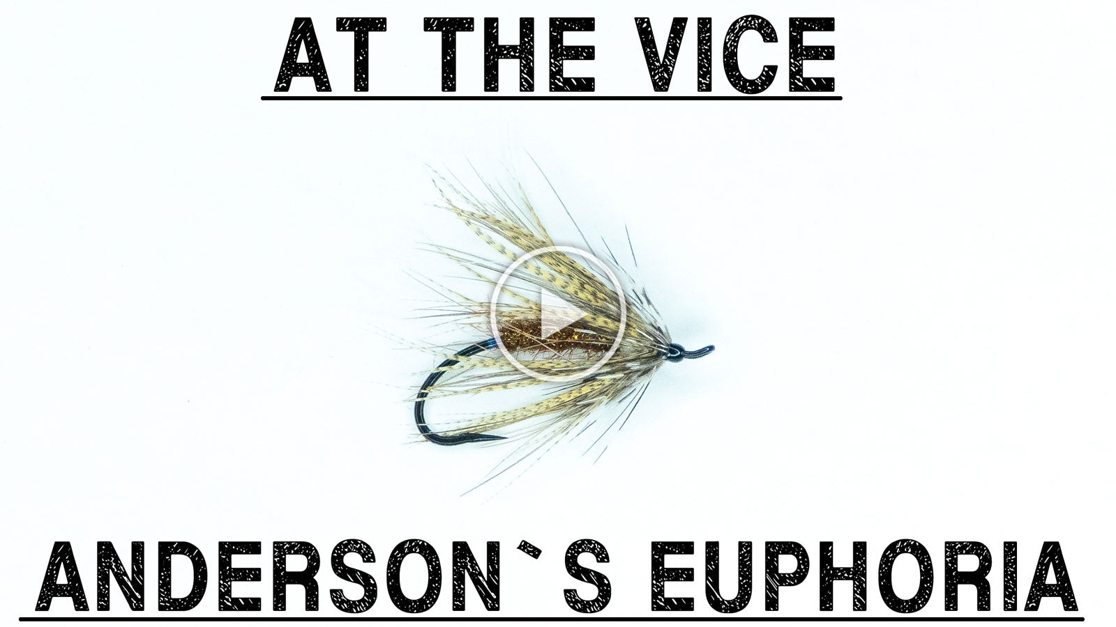 Anderson's Euphoria | At The Vice