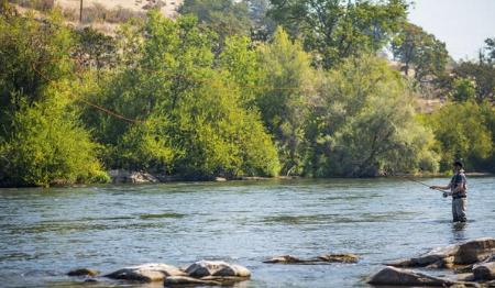 Don't be Afraid of the Single Spey