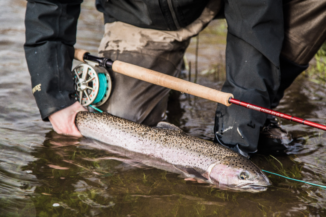 Fishing Report March 14th, 2019