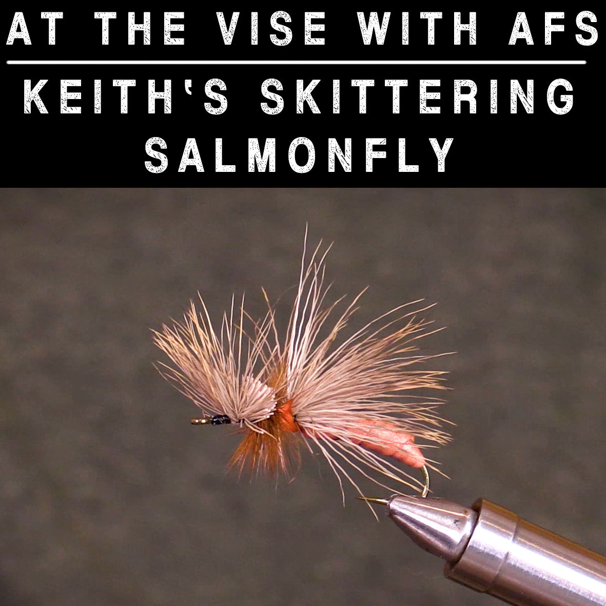 At the Vise with AFS | Keith's Skittering Salmonfly