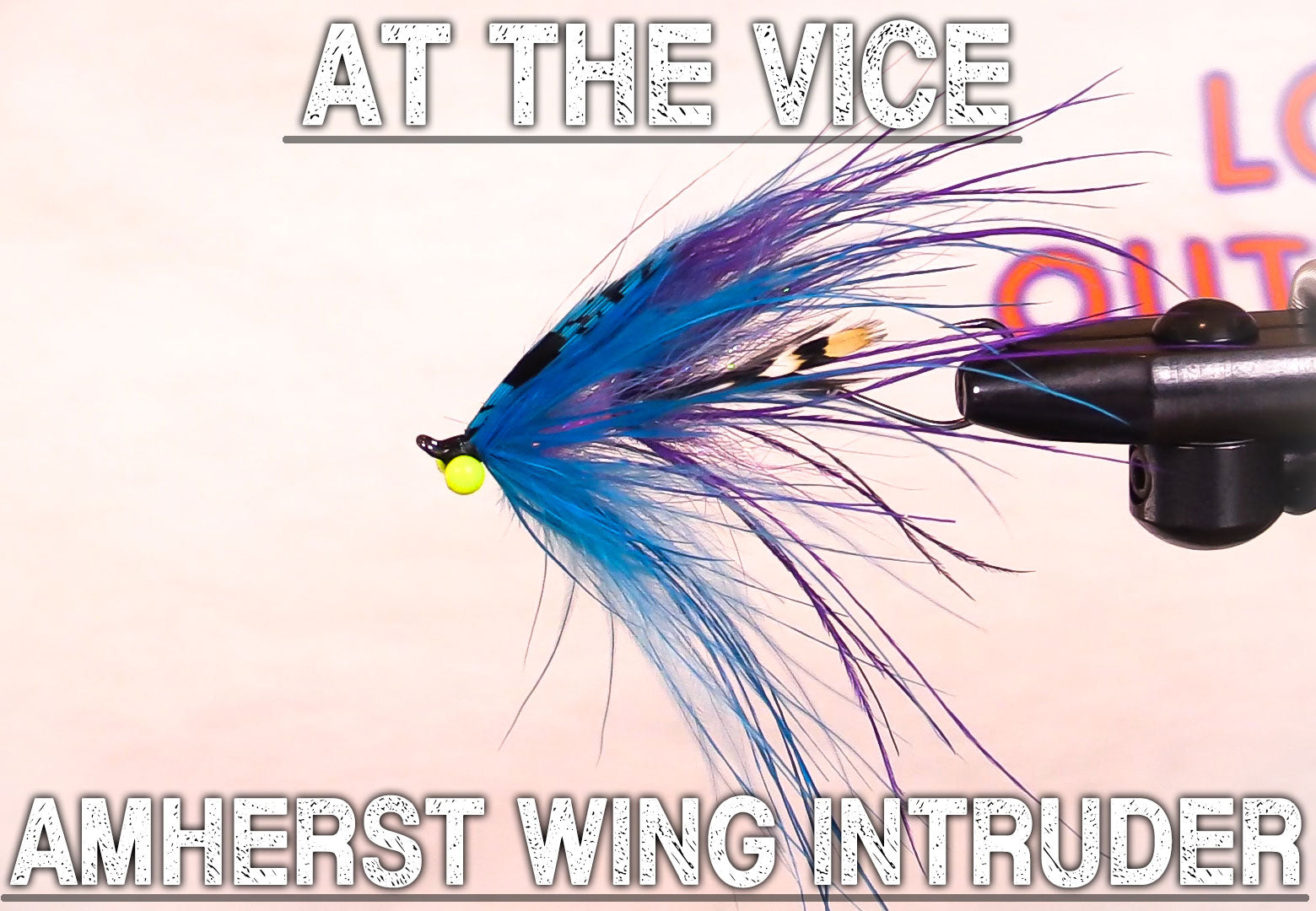 Amherst Wing Intruder | At The Vice