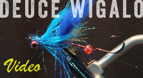 Deuce Wigalo