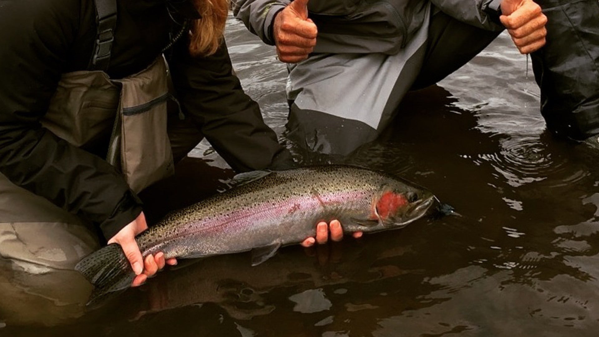 Fly Fishing Report for November 17th 2016
