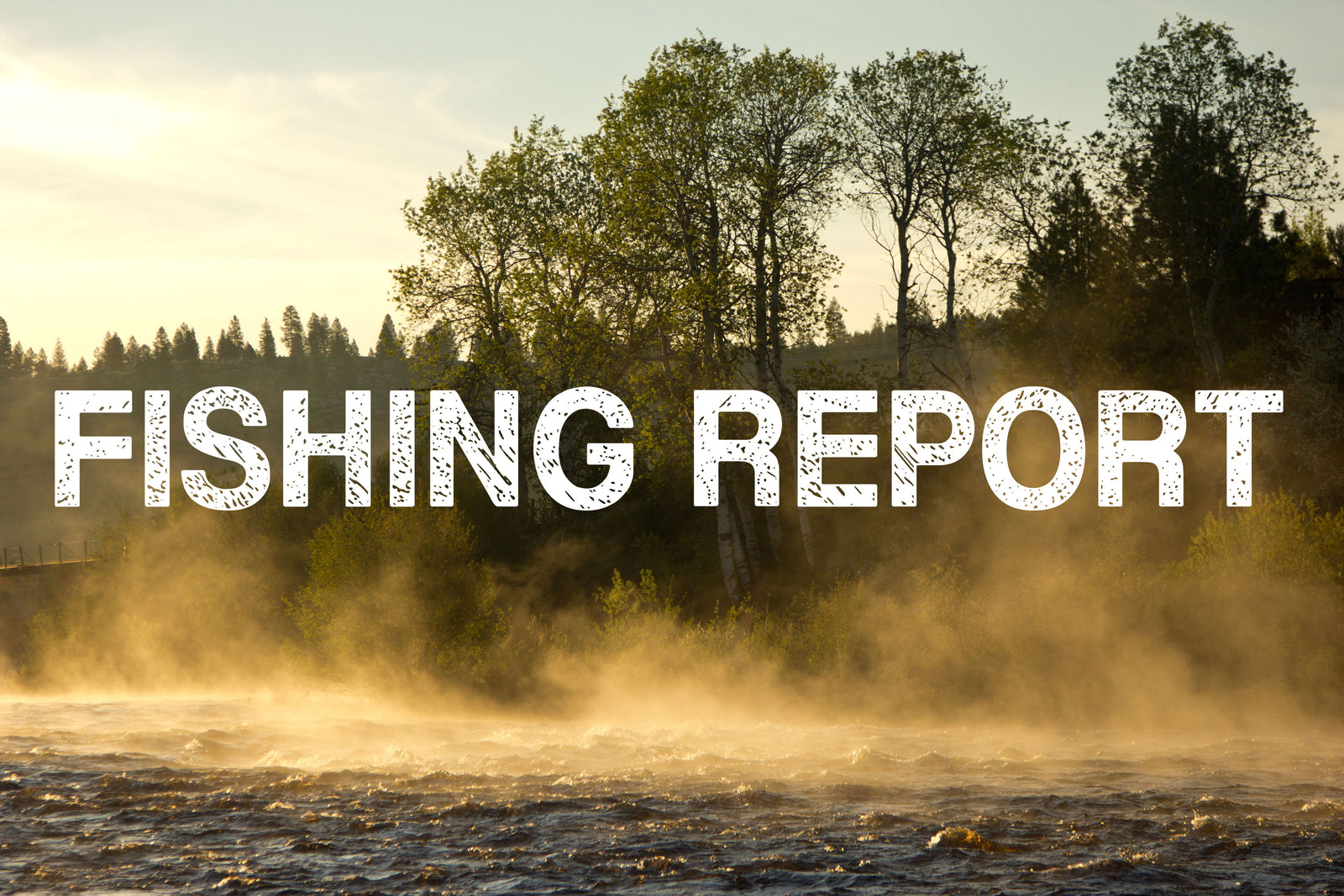 Fishing Report for May 25th