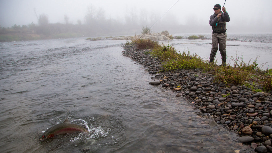 Fly Fishing Report for January 6th 2017