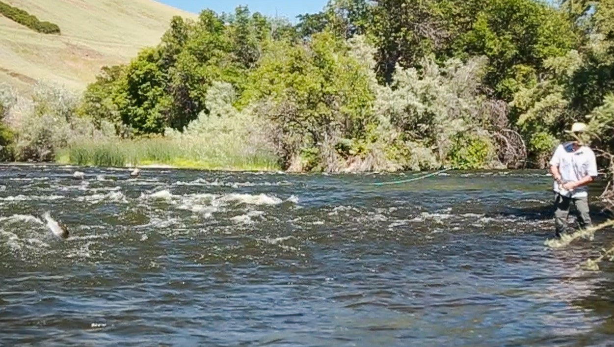 Ashland Fly Shop Fishing Report, June 23 2016