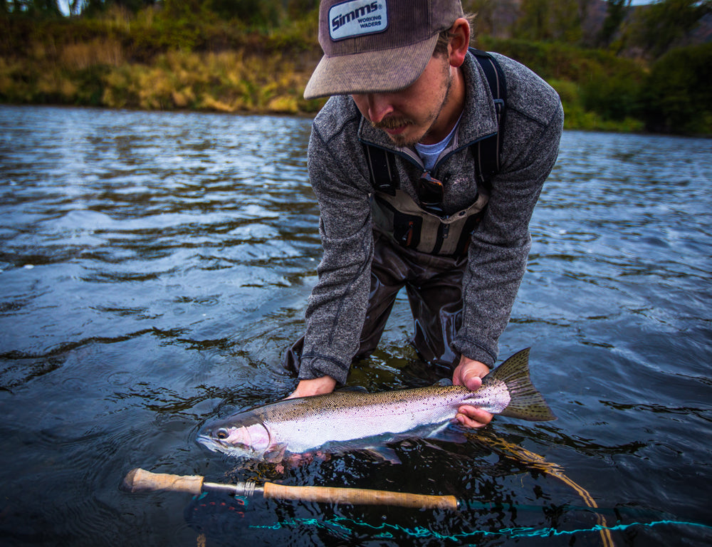 Rogue River Field Notes