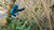 Patagonia Tough Puff Hoody