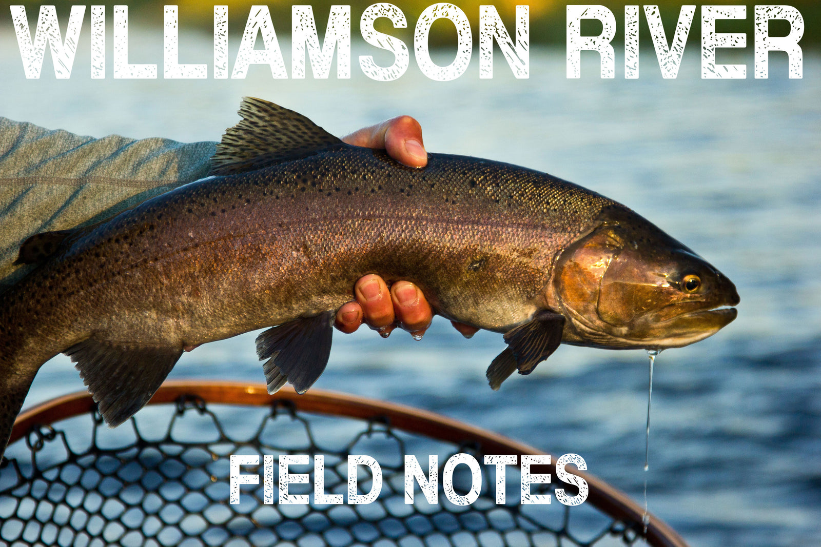 Williamson River Field Notes