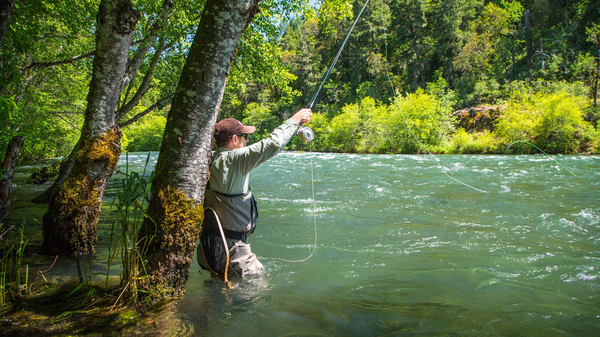Upper Rogue Field Notes