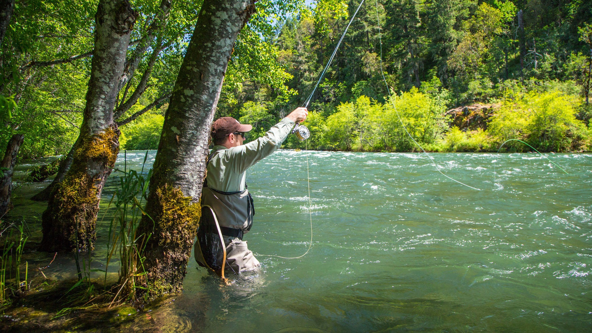 The Ashland Fly Shop Blog  Learn new Fly Fishing Tips Tagged rogue river  fly fishing