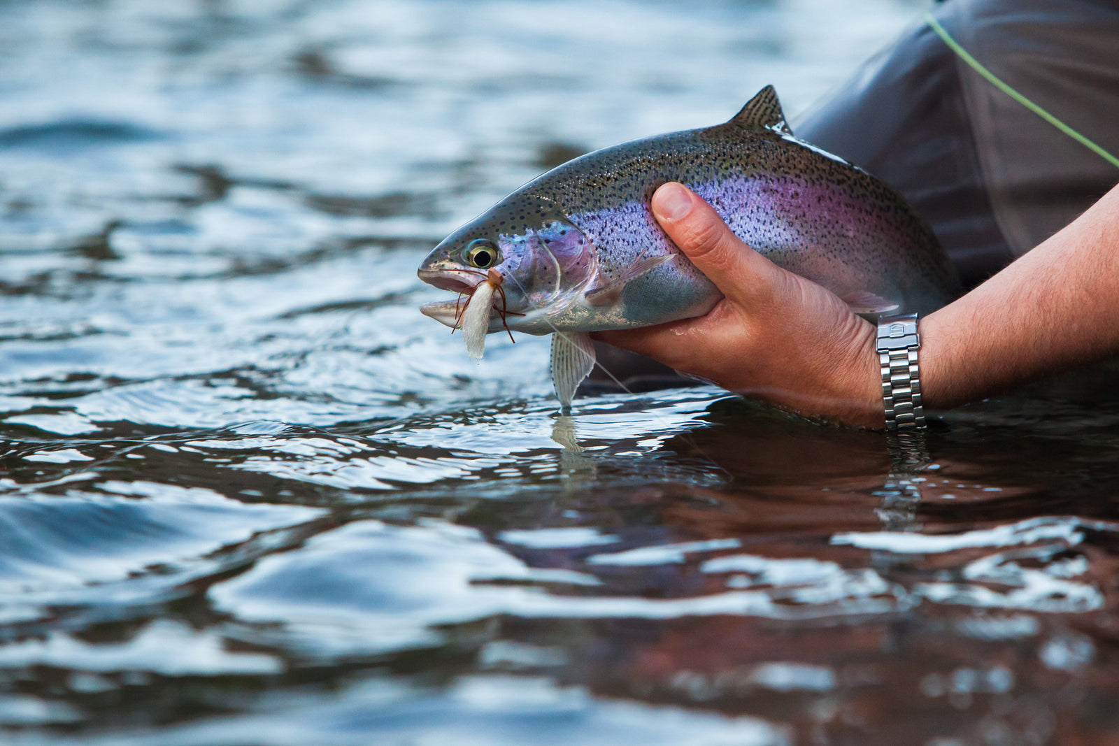 Ashland Fly Shop Fishing Report May 19, 2016