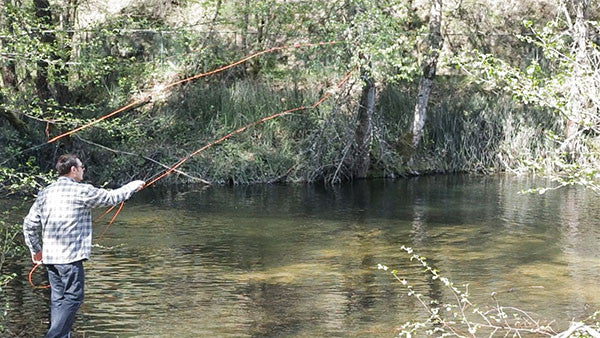 Ashland Fly Shop Winston Nexus Review