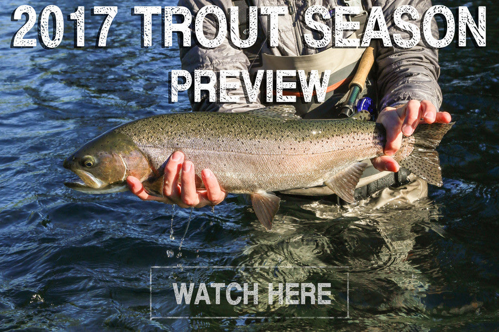 2017 Trout Season Preview