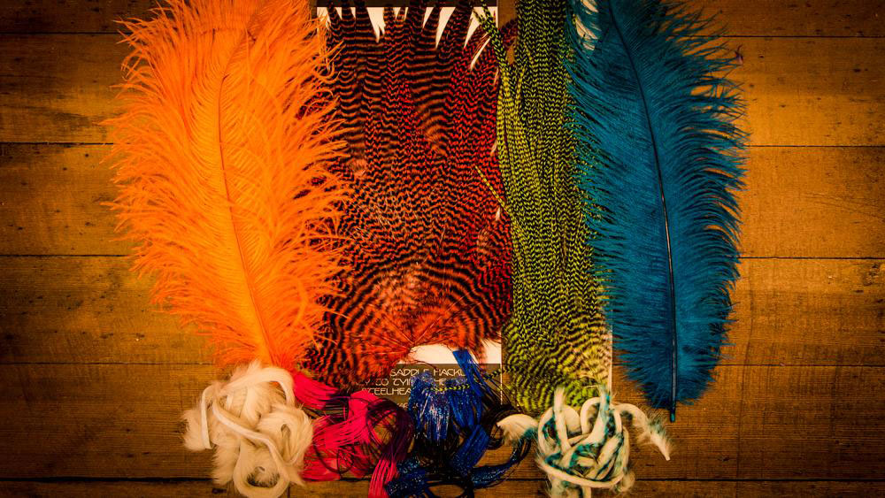 Legs, Wings &amp; Tails