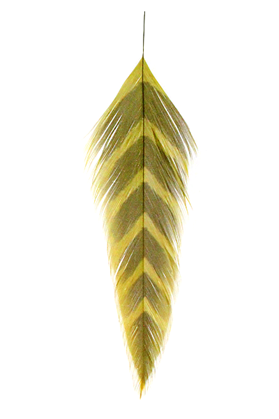 Galloups Fish Feathers - Arrowhead