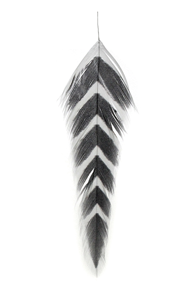 Galloups Fish Feathers - Arrowhead