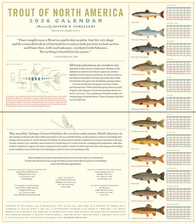 Trout of North America Wall Calendar 2026