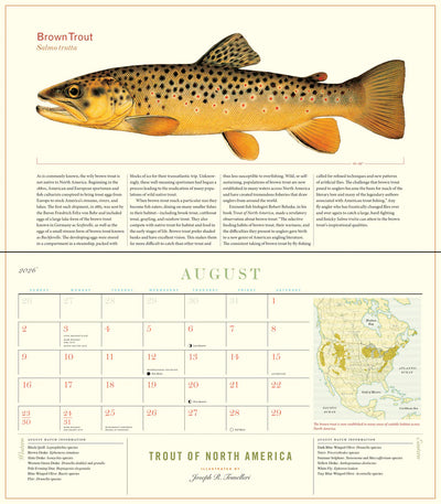 Trout of North America Wall Calendar 2026