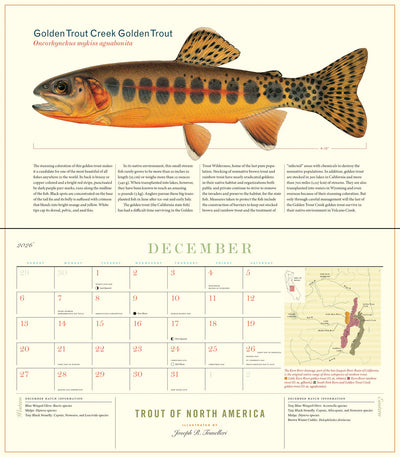Trout of North America Wall Calendar 2026