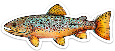 River Collective Fish Sticker