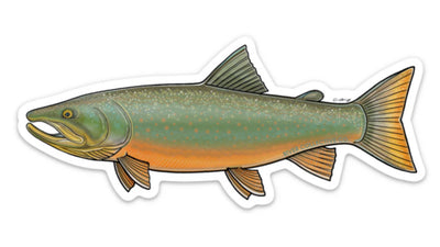 River Collective Fish Sticker