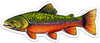 River Collective Fish Sticker
