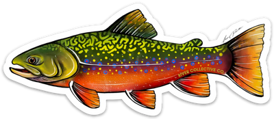 River Collective Fish Sticker