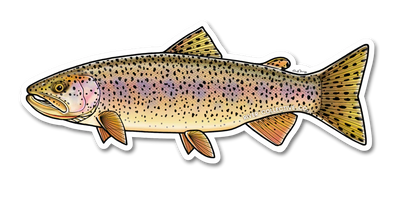 River Collective Fish Sticker